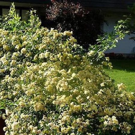 Haus Christl Bed and Breakfast Lana Exterior foto